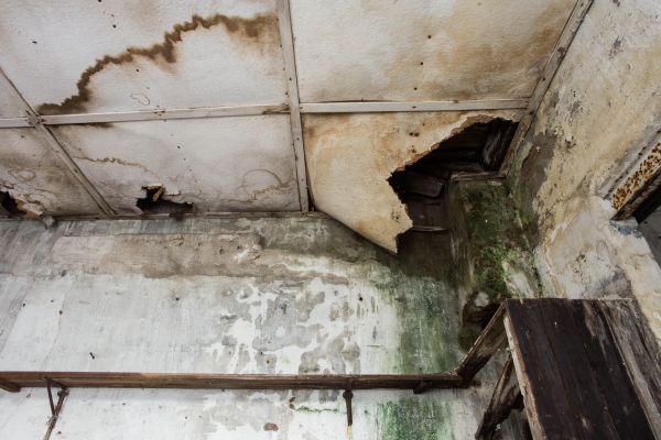 Water Damage Service in Melbourne