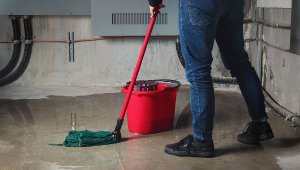 Cost of Flooded Basement Cleanup in Melbourne