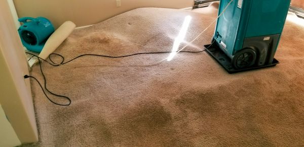 Flood Damage Cleanup in Melbourne