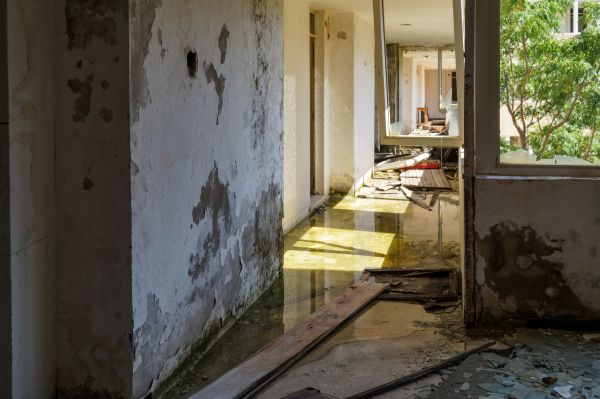 Water Removal Service in Melbourne
