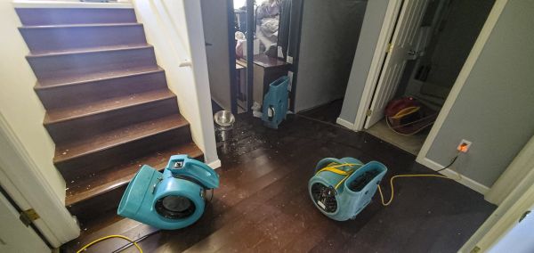 Water Damage Remediation in Melbourne