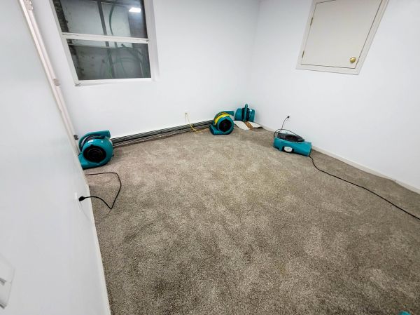 Flood Restoration Service in Melbourne