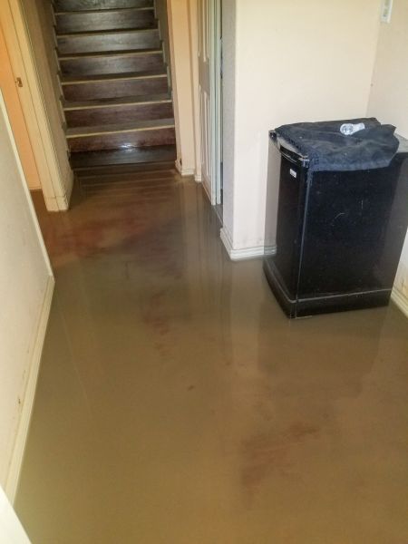 Emergency Water Removal in Melbourne