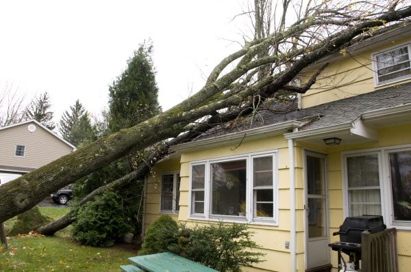 Hurricane Damage Repair in Melbourne